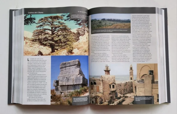 Biblia Ilustrada de la Tierra Santa