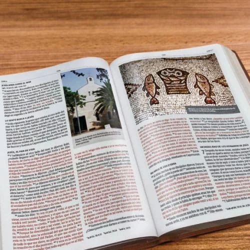 Biblia Ilustrada de la Tierra Santa