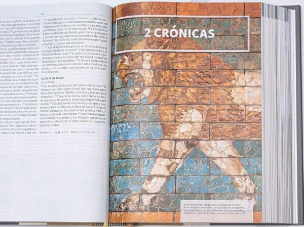 Biblia Ilustrada de la Tierra Santa