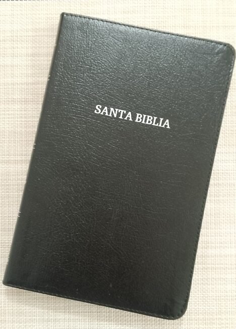 WhatsApp Image 2025-10-18 at 2.06.25 PM(1) Biblia Ultrafina Holman