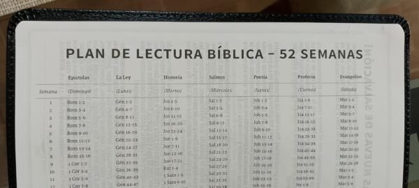 WhatsApp Image 2025-10-18 at 2.06.26 PM Biblia Ultrafina Holman